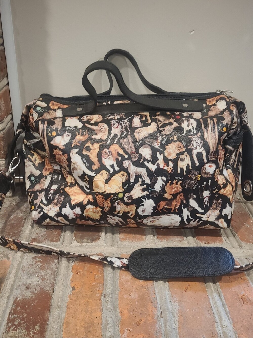 Sydney Love Dog & Cat Carry-On Bag